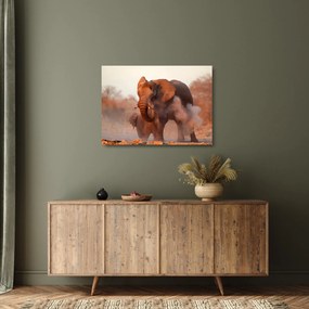 Tablou pe sticlă - Marele elefant african (70x50 cm)