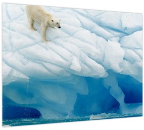 Tablou pe sticlă - Ursul polar (70x50 cm)