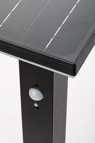Lampa solara cu senzor de miscare, IP44 Geleen H-50cm