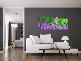 Tablou cu flori de luncă violete (120x50 cm)