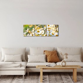 Tablou - Margarete (cu ceas) (90x30 cm)