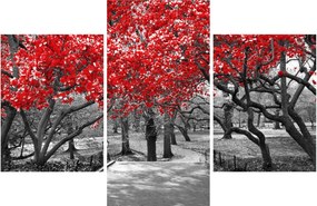 Tablou - Copaci roșii, Central Park, New York (90x60 cm)