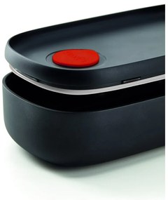 Cutie pentru prânz 2 buc. To Go – Lékué