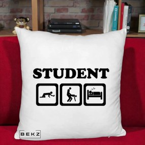 Perna Decorativa Student Life, 40x40 cm, Alb Pufos, Husa Detasabila, Perna Inclusa, BEKZ®