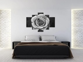 Tablou - Trandafir (150x105 cm)