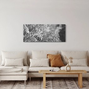 Tablou - Pădure de molid (120x50 cm)