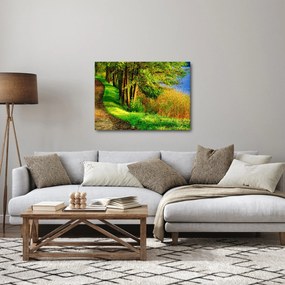 Tablou - poteci pe malul apei (70x50 cm)