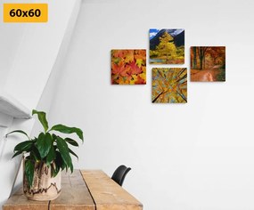 Set tablouri natura de toamnă în culori frumoase