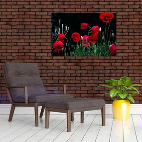 Tablou - Dansul macilor (90x60 cm)