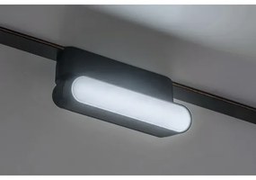 Plafonieră LED dimabilă pentru sistem de șină monofazic Rabalux 70127 LiTrack 4W/24V 11,5 cm