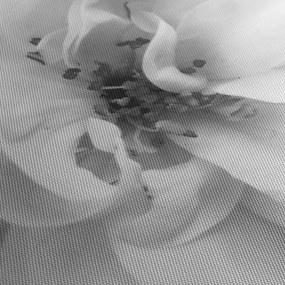 Tablou - Floare,alb-negru (90x60 cm)