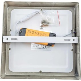 LED Plafonieră FENIX LED/12W/230V 3800K 17 cm