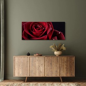 Tablou - Trandafir roșu (120x50 cm)
