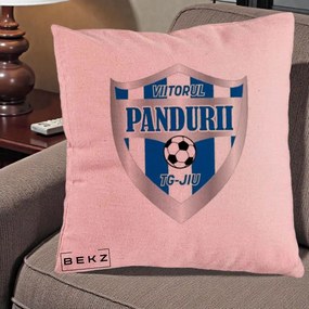 Perna Personalizata Pandurii Targu Jiu Fotbal, 40x40 cm, Roz, Husa Detasabila, Perna Inclusa, BEKZ®