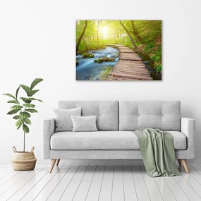 Imprimare tablou canvas Calea în pădure