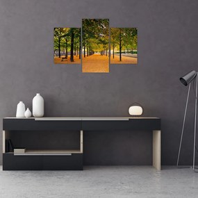 Tablou cu alee cu copaci în toamnă (90x60 cm)