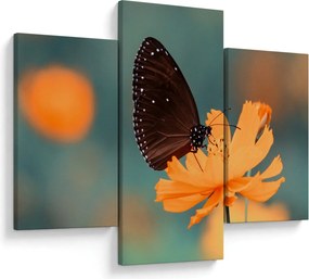 Tablou - fluture pe o floare portocalie (90x60 cm)