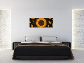 Tablou - Floarea soarelui și petale (120x50 cm)