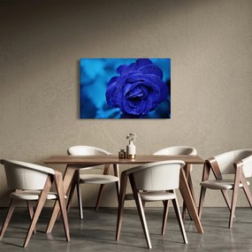 Tablou cu trandafir albastru (90x60 cm)