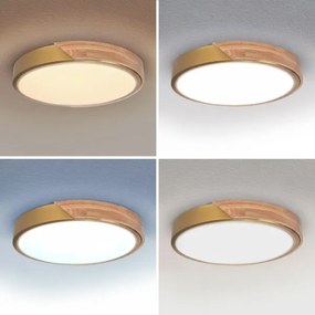 BRILAGI - Lampă LED dimabilă PILANA LED/48W/230V stejar/auriu Ø 40 cm + telecomandă