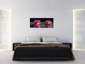Tablou - Nuferi pe apă (120x50 cm)
