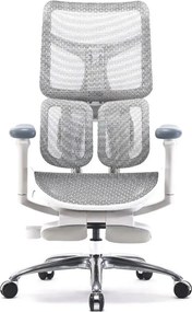 Scaun ergonomic SIHOO S100, cotiere 4D ultra moi, suport lombar adaptiv, spătar reglabil pe inaltime, sezut cu translatie, mecanism multifunctional inclinare/blocare, suport picioare Dual, pivotant, Mesh, Gri