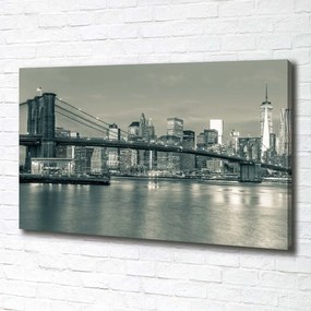 Tablou canvas Manhattan new york city