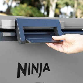Lada frigorifica Ninja FrostVault FB151EUGY, 47 l, Pasiva, 80 doze, Pastreaza gheata pana la 6 zile, Compartiment uscat, Gri