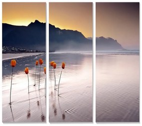 Tablouri 3 buc. 20x50 cm – Wallity