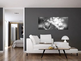 Tablou - Detailu cu fluture care polenizează floare (120x50 cm)