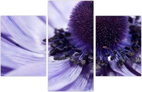 Tablou - Floare mov (90x60 cm)