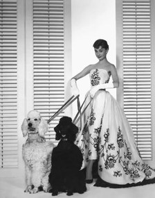Fotografie Audrey Hepburn
