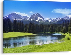 Tablou - vâfurile montane înzăpezite (70x50 cm)