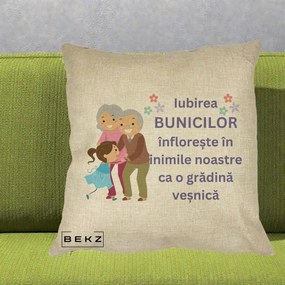 Cadou pentru Bunici - Perna Personalizata Bunicii Iubirea Infloreste Bunici cu Nepoata Colorat, 40x40 cm, Crem, Husa Detasabila, Perna Inclusa, BEKZ®
