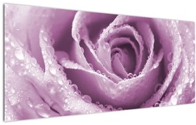 Tablou detaliu de floare de trandafir (120x50 cm)