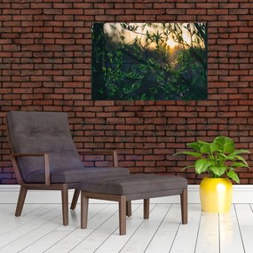 Tablou - Soarele strălucind printre crengile copacilor (90x60 cm)