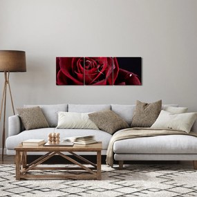 Tablou - Trandafir roșu (cu ceas) (90x30 cm)