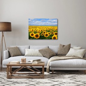Tablou cu lan de floarea soarelui (70x50 cm)
