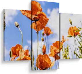 Tablou cu macii (90x60 cm)