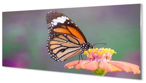 Tablouri acrilice floare fluture colorat