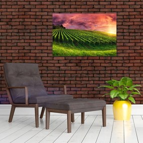 Tablou cu vie cu cerul color (90x60 cm)