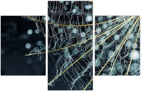 Tablou - Floare cu pânză de pâianjen (90x60 cm)