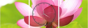 Tablou cu flori de lotus (cu ceas) (90x30 cm)