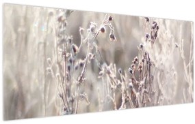 Tablou - Plante (120x50 cm)