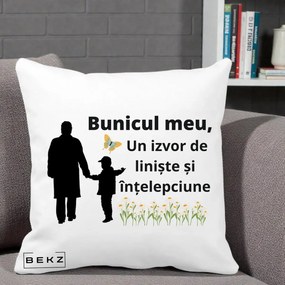 Cadou pentru Bunic - Perna Personalizata Bunicul Meu Izvor de Liniste cu Fluture si Baietel, 40x40 cm, Alba Mata, Husa Detasabila, Perna Inclusa, BEKZ®