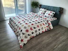 Lenjerie de pat matrimonial Premium Ranforce reni winter / 200x220 cm dimensiune standard