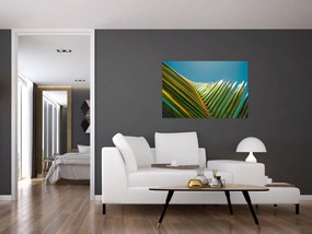 Tablou - Frunze de palmier (90x60 cm)