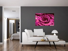 Tabloul cu floarea trandafirului roz (90x60 cm)