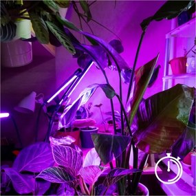 Lampadar LED dimabil pentru creșterea plantelor Brilagi VITABLOOM 4xLED/7,5W/230V