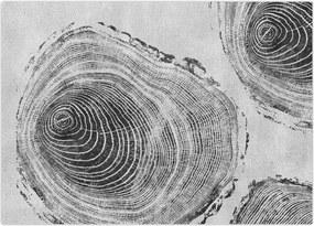 Tablou pe sticlă - Motivul copacului (70x50 cm)